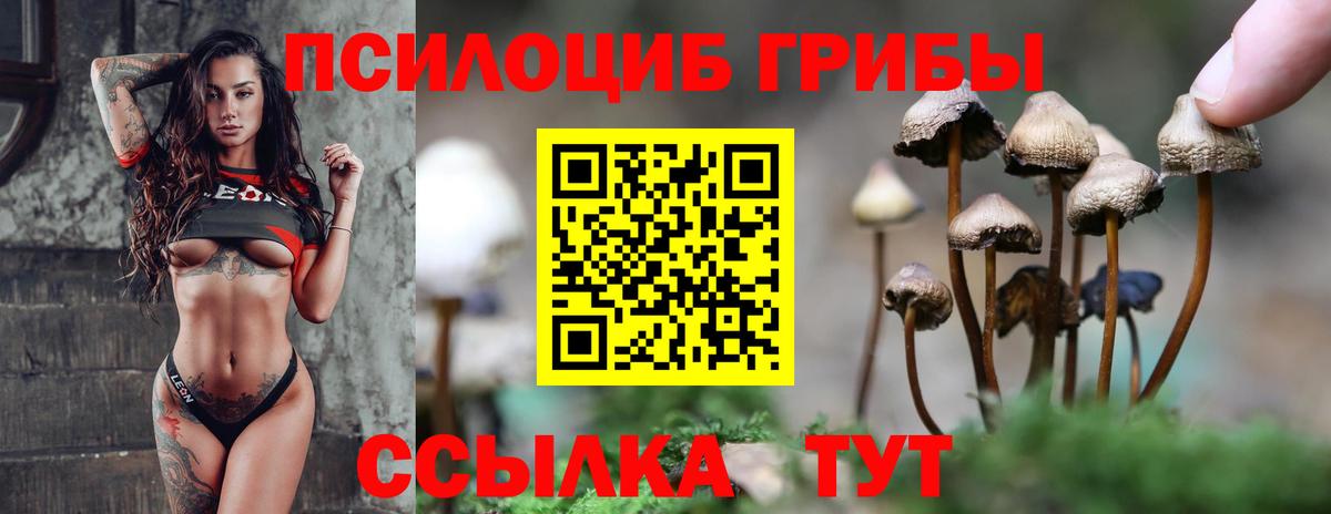 Галлюциногенные грибы мухоморы Кольчугино